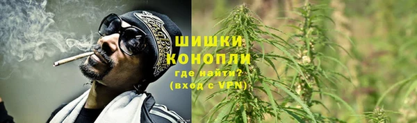 кокс Богородицк