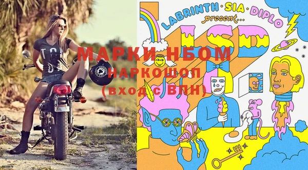 кокс Богородицк