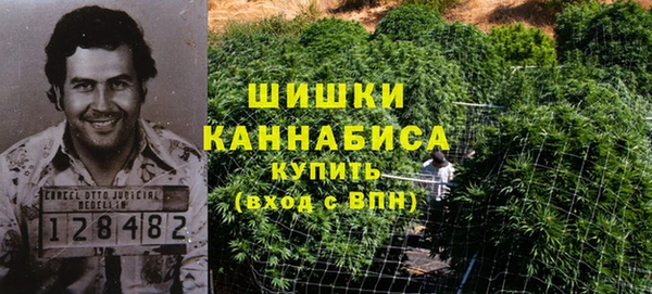 кокс Богородицк