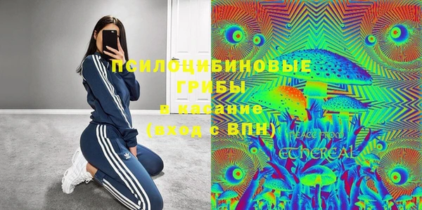 кокс Богородицк