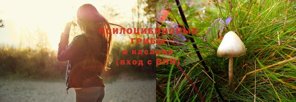 не бодяженный Богданович